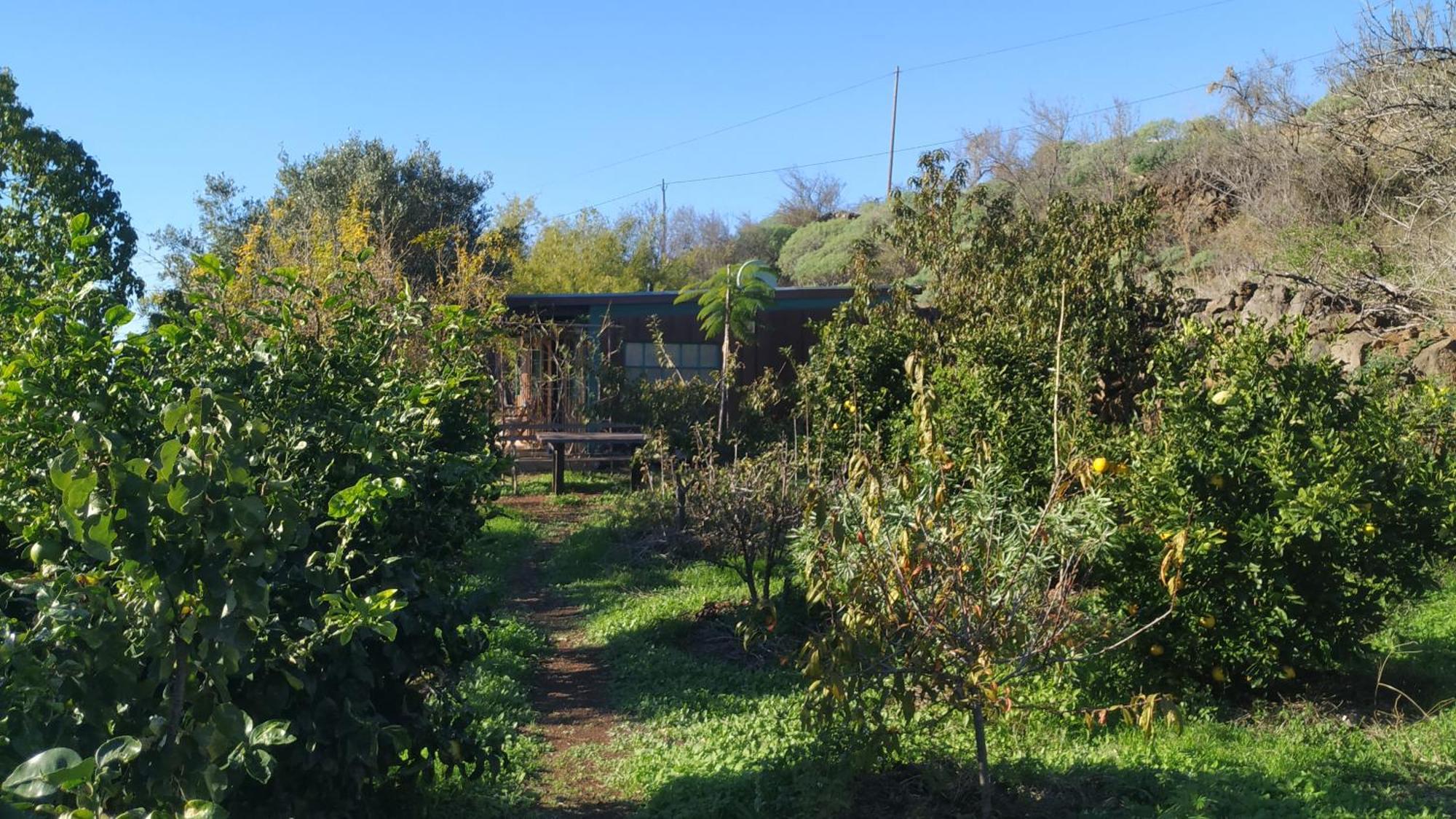 Finca Panorama Tijarafe Exterior foto